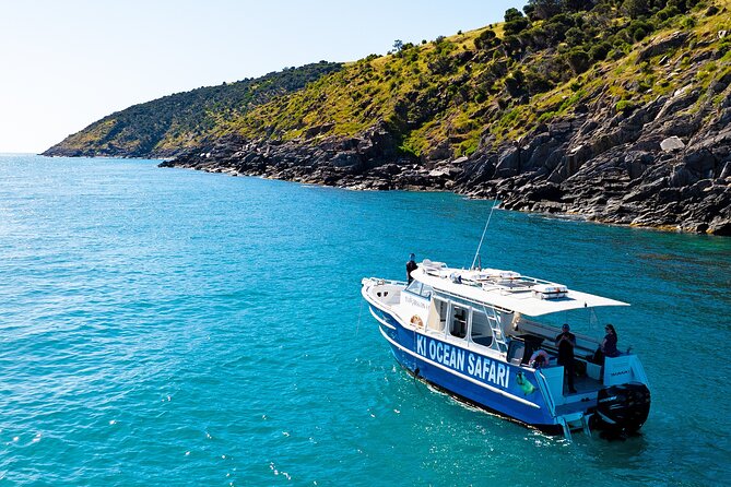 Kangaroo Island 75-Minute Coastal Safari - Christmas Cove is the right place to begin