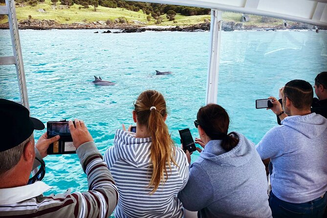 Kangaroo Island 75-Minute Coastal Safari - Seal rocks offer a slower kind of wildlife encounter