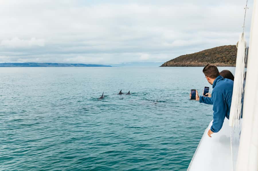 Kangaroo Island: 75-Minute Coastal Safari - Who will enjoy this coastal safari most?