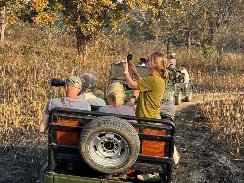 Kathmandu: 3-Day Chitwan Safari Tour with Hotel Transfers - Why this Chitwan trip works well