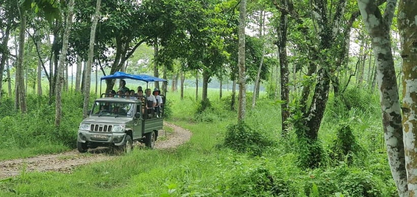 Kathmandu: 3-Day Chitwan Safari Tour with Hotel Transfers - The transport tradeoff: easy connections, limited time