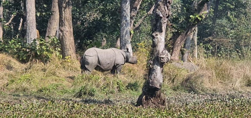 Kathmandu: 3-Day Chitwan Safari Tour with Hotel Transfers - Day 1: Kathmandu to Chitwan and the Rapti River