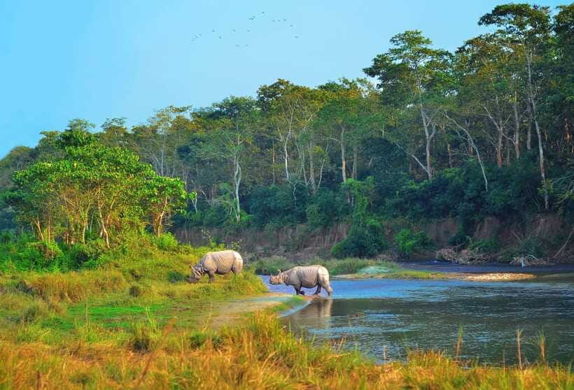 Kathmandu/Pokhara: 3 Day Chitwan Jungle Safari Tour - Meals, rooms, and the $129 value