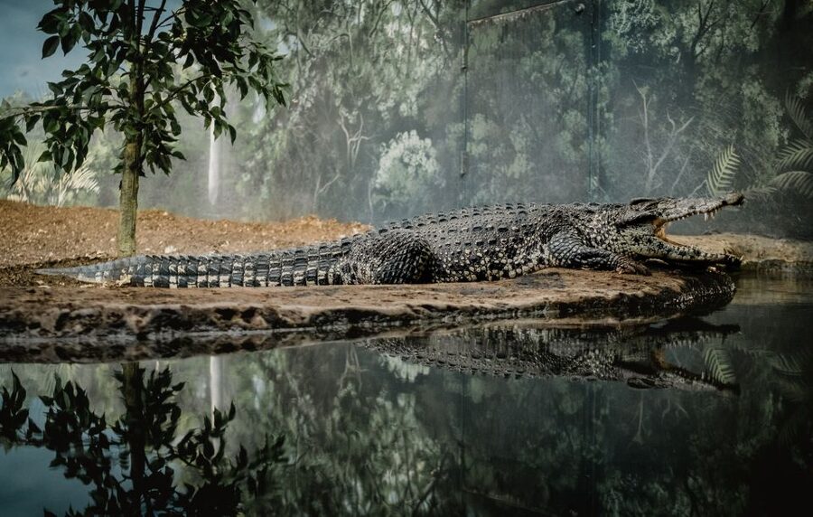 Kathmandu/Pokhara: Wildlife, Culture and Jungle Safari Tour - Canoeing on the Rapti River