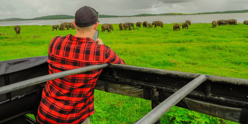 Kaudulla National Park Half Day Sri Lanka Jeep Safari - Why Kaudulla’s elephant gathering is the main event