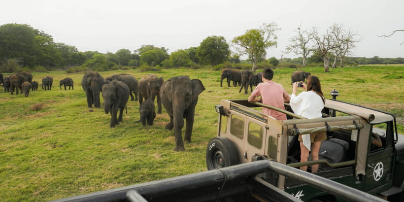 Kaudulla National Park Half Day Sri Lanka Jeep Safari - From your hotel to the park in about 30 minutes