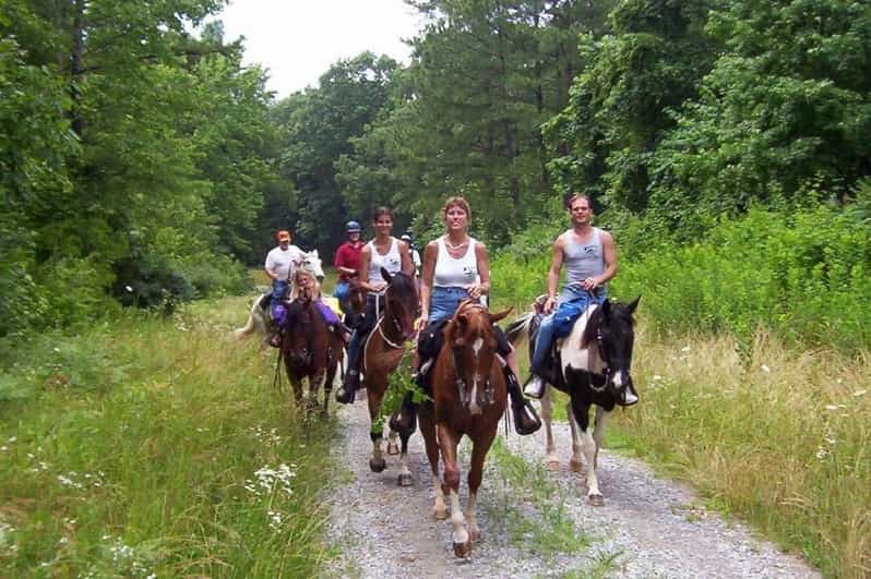 Kemer Horse Safari, pick up from Kiris, Beldibi, Goynuk - From Hotel Gate to Horse Club