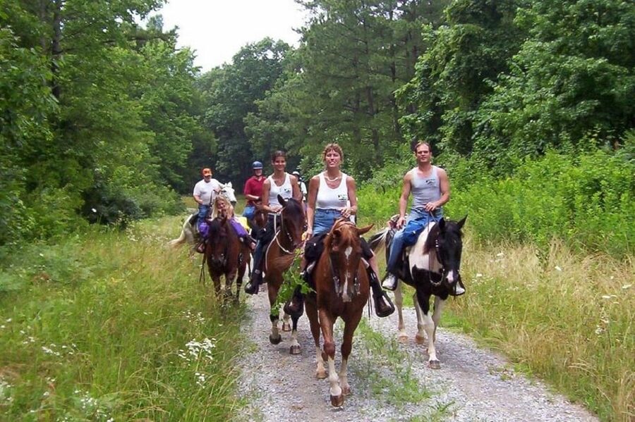 Kemer Horse Safari, pick up from Kiris, Beldibi, Goynuk - Is $47 a Fair Price?