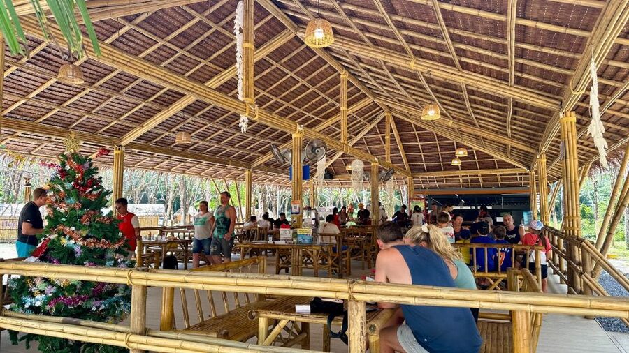 Khao Lak Eco-Safari: Elephants, Tsunami Museum, and Turtles - Who should book this Khao Lak tour?