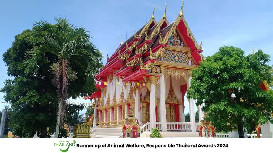 Khao Lak Eco-Safari: Elephants, Tsunami Museum, and Turtles - Lunch at the sanctuary, plus a break from the heat