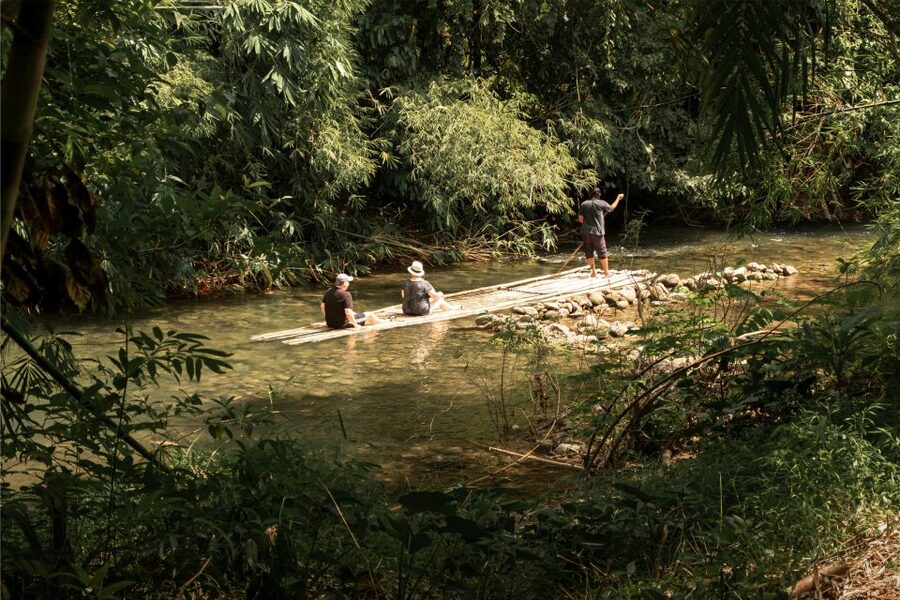 Khao Lak: Elephant Safari with Lunch - The Queen Turtle conservation center