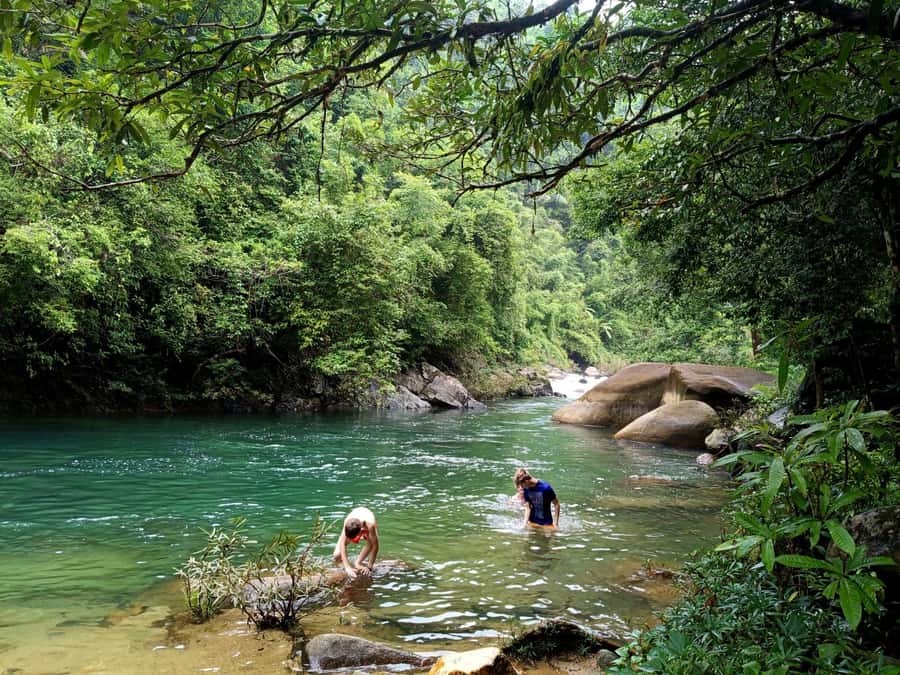 Khao Sok: Private Day Trekking, Jungle Dinner & Night Safari - Key Points Before You Book