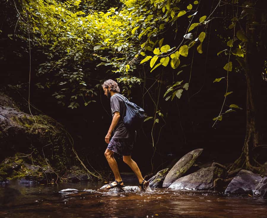 Khao Sok: Private Day Trekking, Jungle Dinner & Night Safari - What to Pack for the Seven Hours
