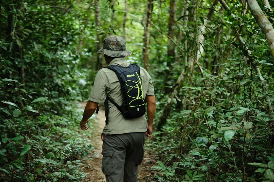 Khao Sok: Private Day Trekking, Jungle Dinner & Night Safari - Swimming at the Forest Waterfall