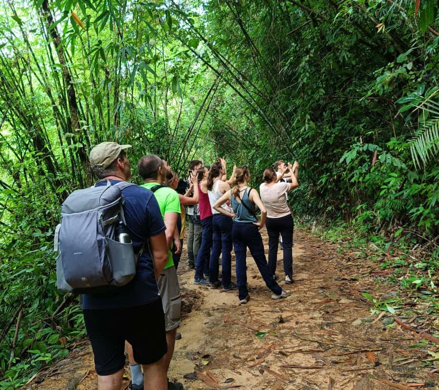 Khao Sok: Private Day Trekking, Jungle Dinner & Night Safari - What the $192 Price Buys You