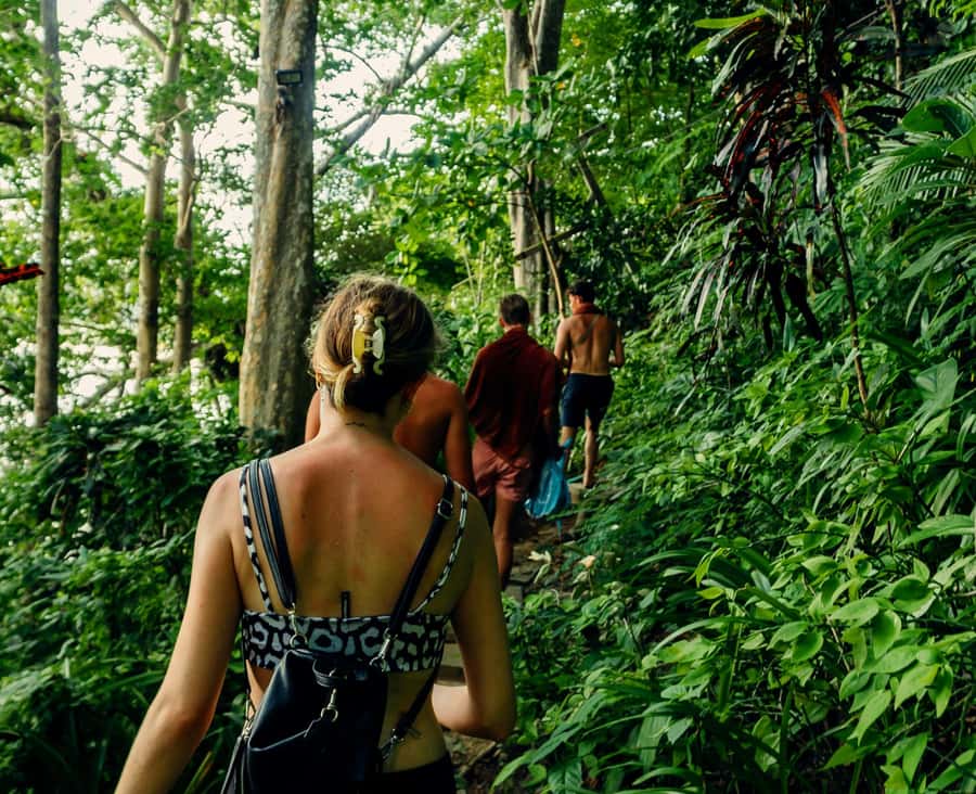 Khao Sok: Private Day Trekking, Jungle Dinner & Night Safari - Who Should Book This Khao Sok Experience?