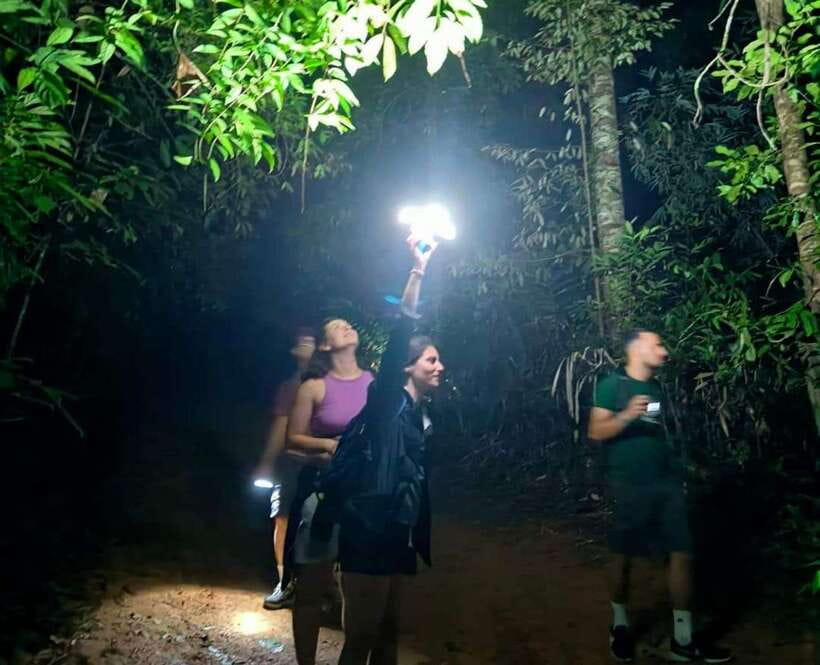 Khao Sok: Private Night Safari Adventure w/ Hotel Transfer - Walking conditions and what to pack