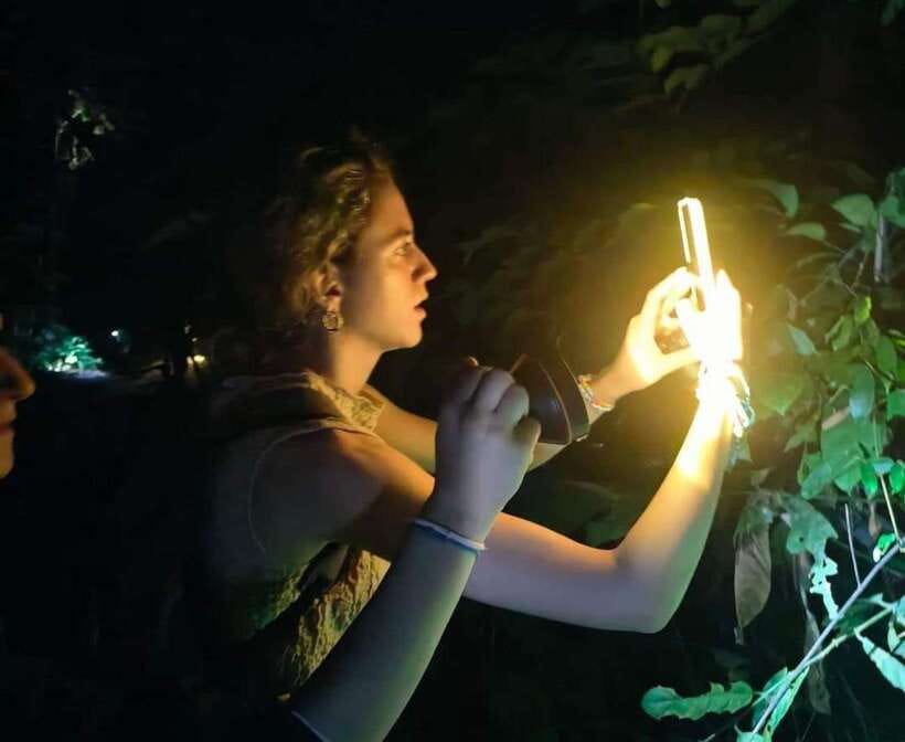 Khao Sok: Private Night Safari Adventure w/ Hotel Transfer - Hotel pickup and the first steps into the park