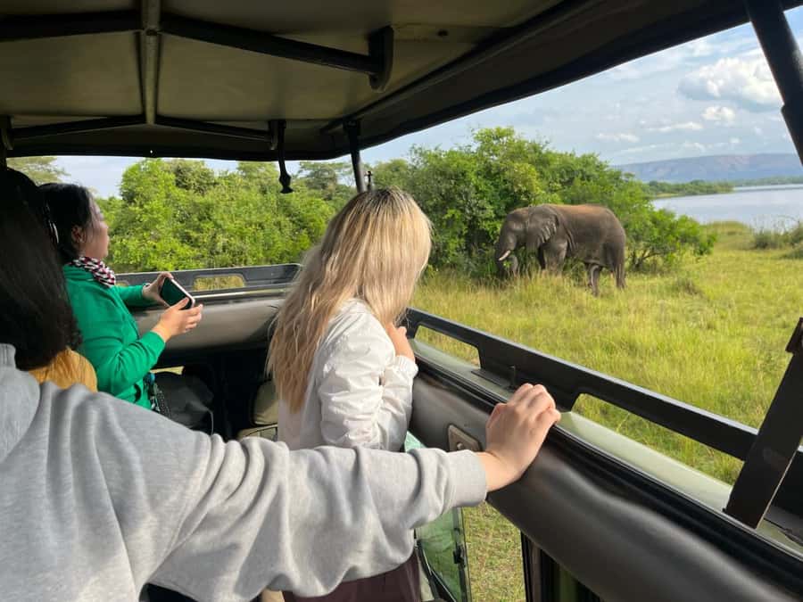 Kigali: Full-Day Akagera Safari + Optional Boat Ride - The early pickup and drive through eastern Rwanda