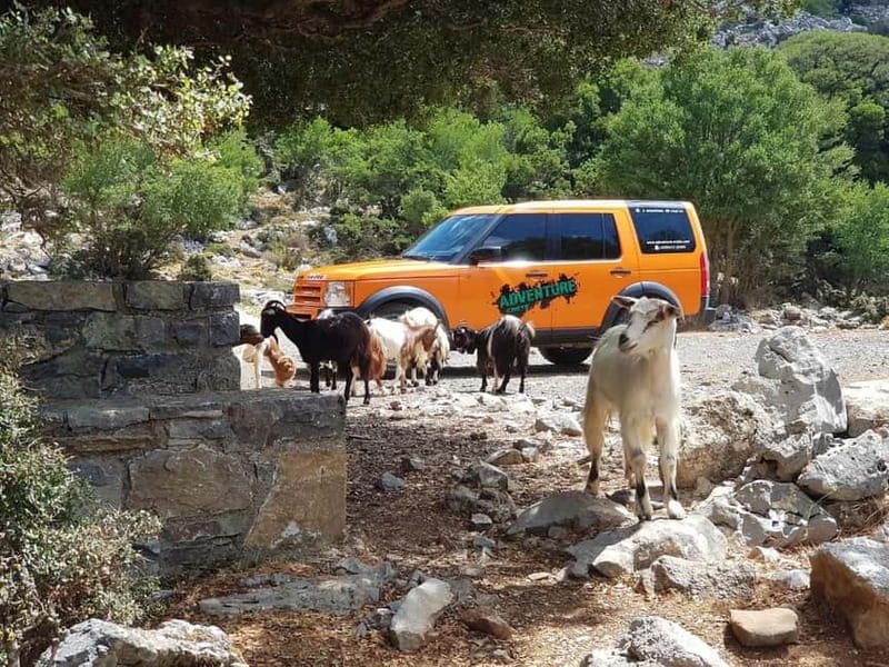 Knossos Palace and Pottery experience. Excursion Safari - Who should book this Crete day trip?