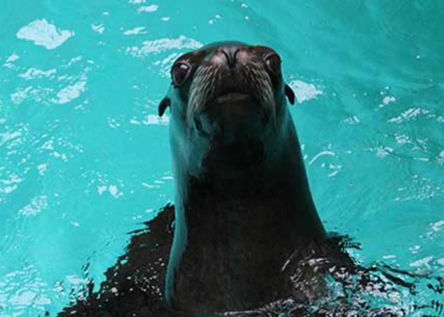 Knowsley: Safari Entry Tickets - Making the most of your one day
