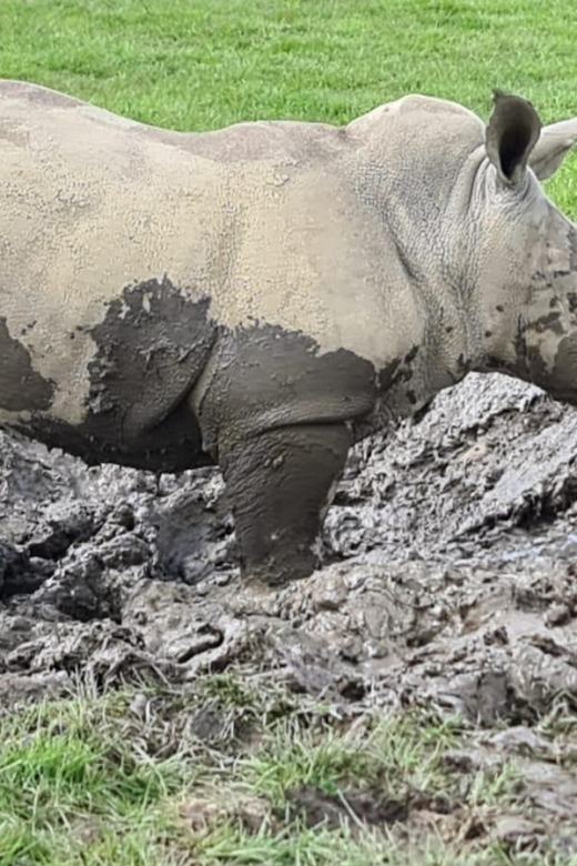 Knowsley: Safari Entry Tickets - Why the car rules deserve attention