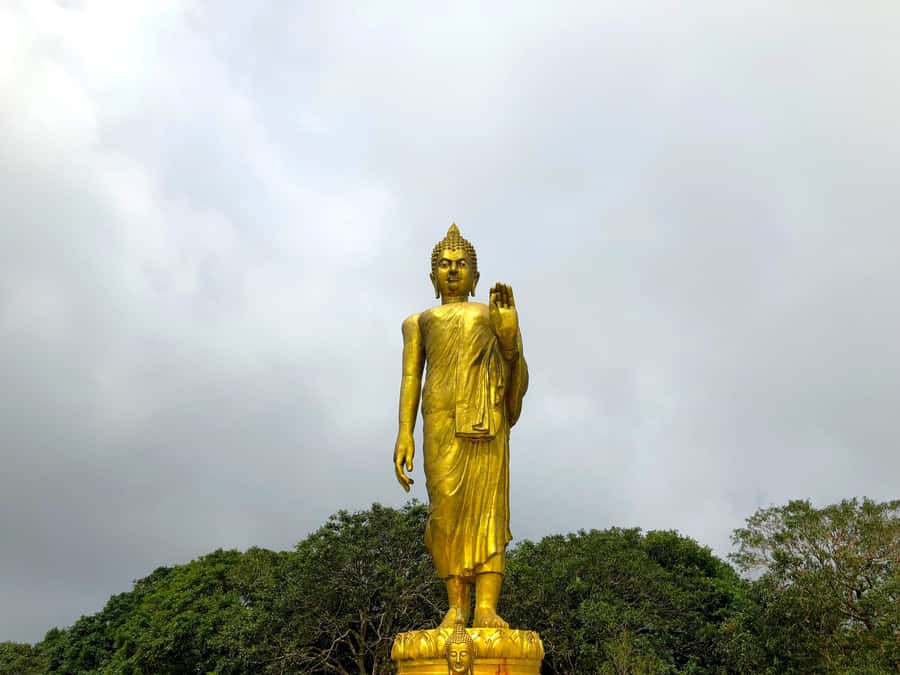 Koh Samui: 4x4 Off Road Island Safari Tour Including Lunch - Coconut and rubber plantations, with working island context
