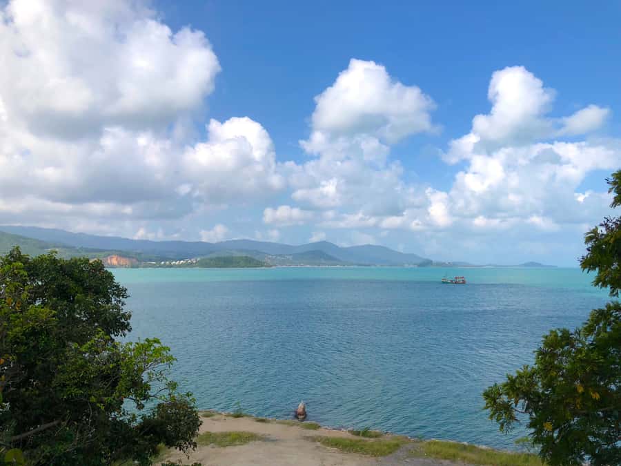 Koh Samui: 4x4 Off Road Island Safari Tour Including Lunch - What the $40 price really includes