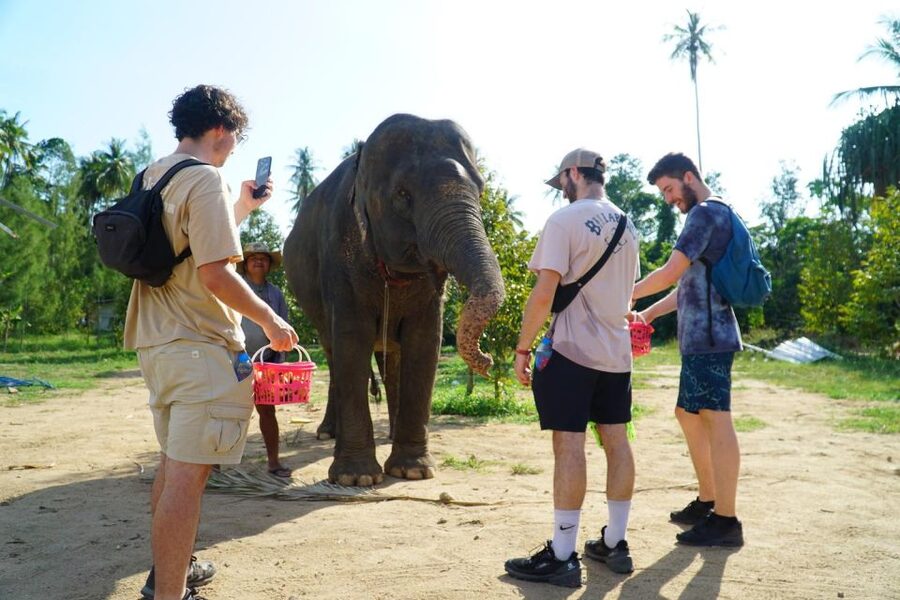 Koh Samui: 4x4 Sightseeing Safari & Elephant Sanctuary Tour - Wat Teepangkorn and the golden Buddha