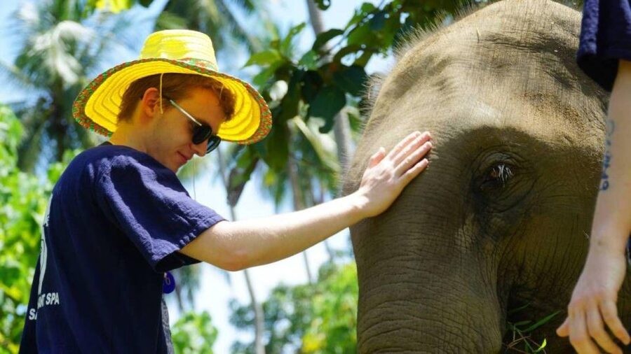Koh Samui: 4x4 Sightseeing Safari & Elephant Sanctuary Tour - Coconut plantations and everyday island work