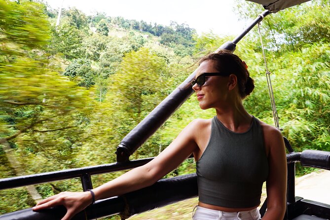 Koh Samui Jungle Safari By JEEP With MR.UNG (Including Lunch) - The high Buddha and 360-degree island views