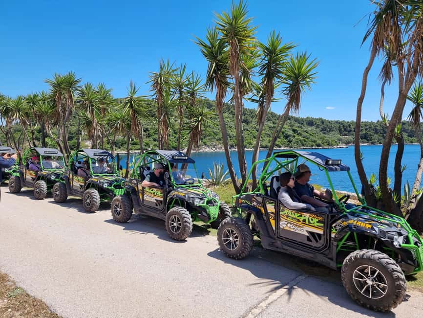 Korcula: Buggy Safari with Local Food and Wine Tasting - Why this buggy tour feels different from a standard island excursion