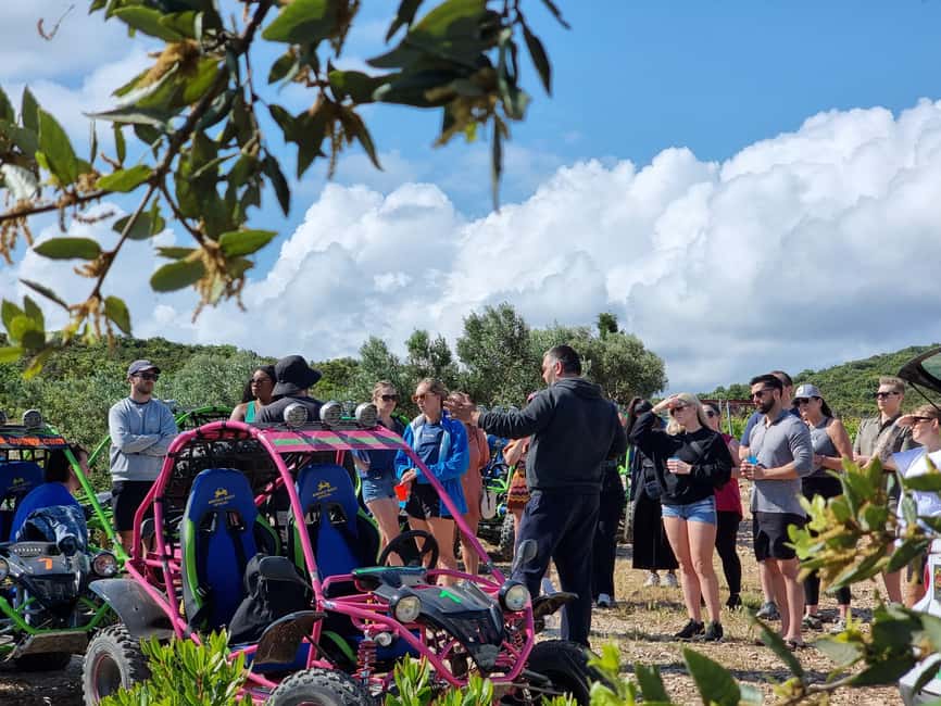 Korcula: Buggy Safari with Local Food and Wine Tasting - Vineyards, stone borders, and local island stories
