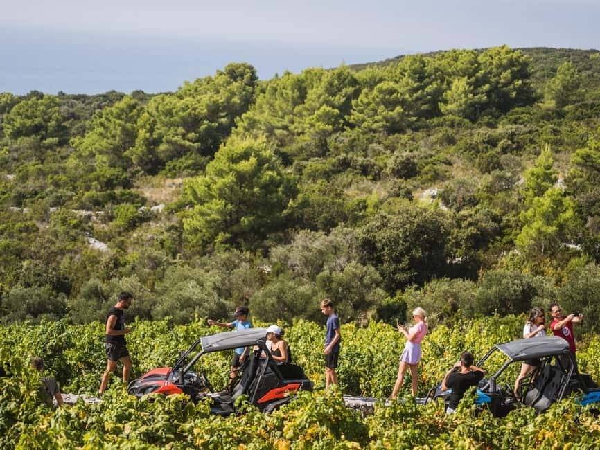 Korcula Buggy Safari With Wine Tasting - The Korcula town viewpoint