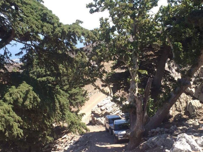 Kos: Full-Day Jeep Safari with Lunch - Who should book this Kos safari