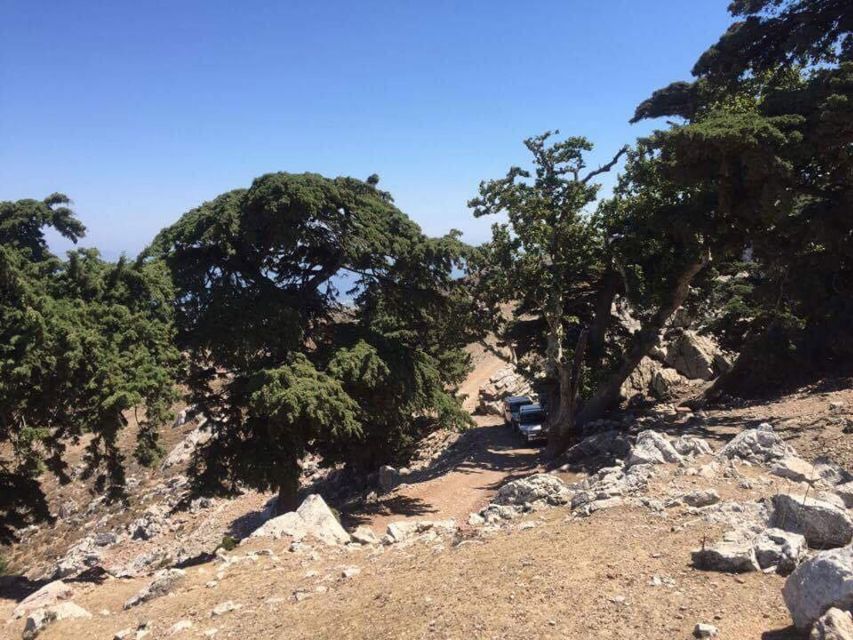 Kos: Full-Day Jeep Safari with Lunch - Climbing Mount Dikaios by 4x4