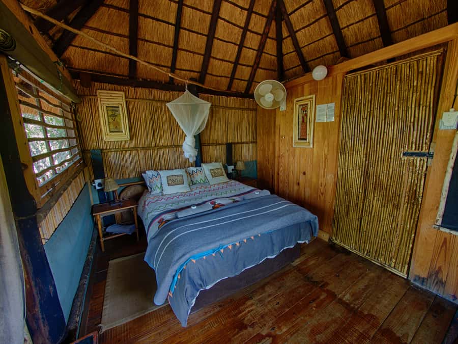 Kruger National Park: 3-Day Safari Tour and Treehouse Stay - Final verdict: a strong safari package with a lodging warning