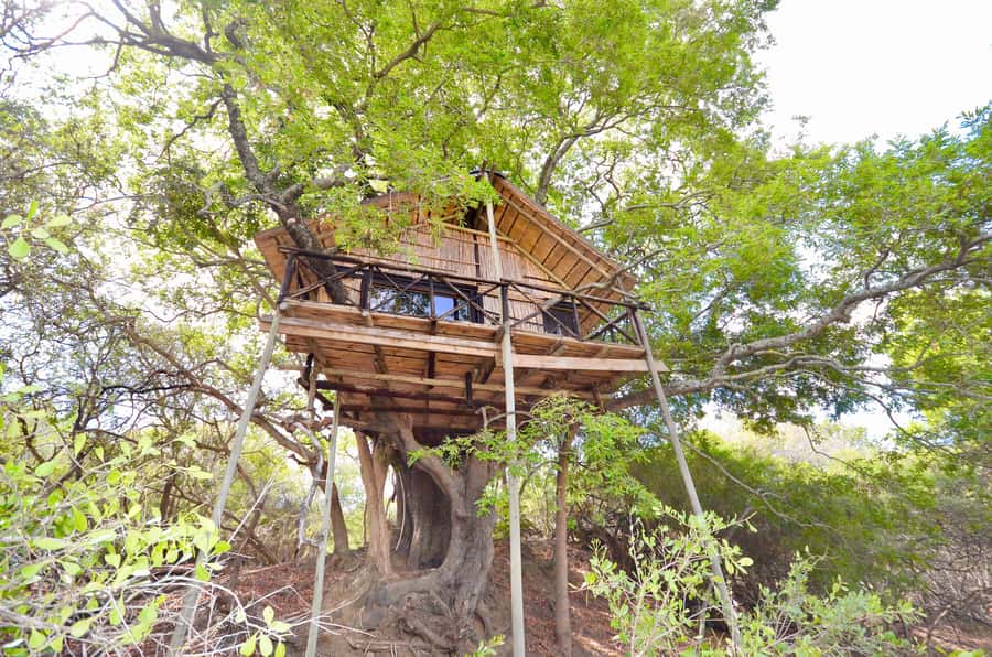 Kruger National Park: 3-Day Safari Tour and Treehouse Stay - A three-day safari with plenty packed in