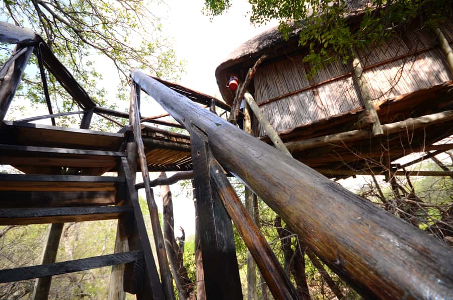 Kruger National Park: 3-Day Safari Tour and Treehouse Stay - The Balule sunset and night drive