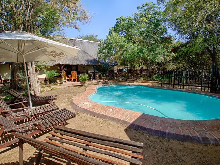 Kruger National Park: 3-Day Safari Tour and Treehouse Stay - Day 2: Kruger in an open Gameviewer