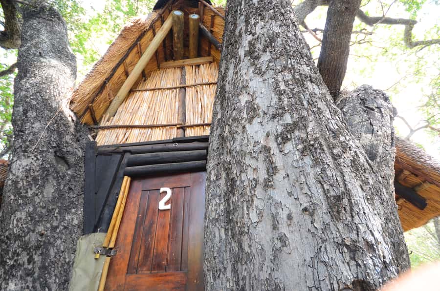 Kruger National Park: 3-Day Safari Tour and Treehouse Stay - Day 3: Sunrise on foot, then the Panorama Route