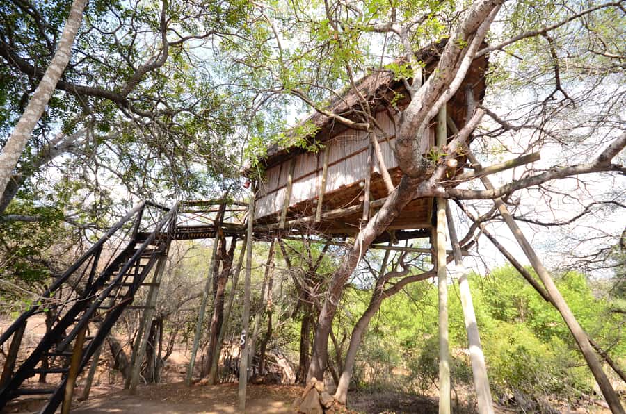 Kruger National Park: 3-Day Safari Tour and Treehouse Stay - Food, drinks, and daily costs