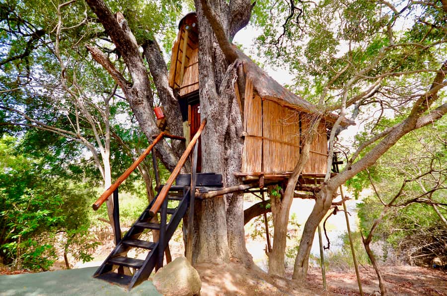 Kruger National Park: 3-Day Safari Tour and Treehouse Stay - Day 1: From Johannesburg to Balule