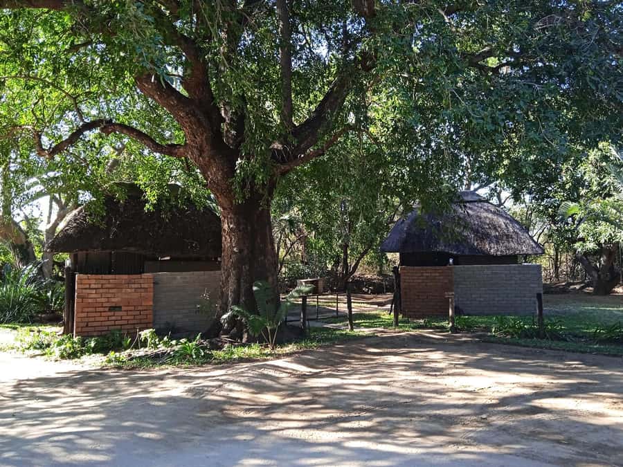 Kruger National Park - 4 Day Safari Tour - A full day inside Kruger National Park