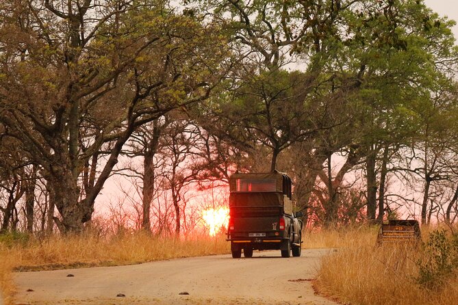 Kruger National Park Full Day Private safari - What the drive through Kruger feels like