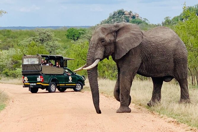 Kruger National Park Full Day Private safari - Breakfast and lunch at separate rest camps