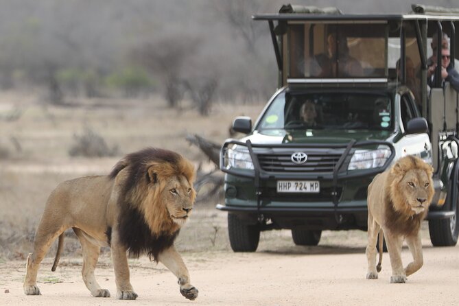 Kruger National Park Full Day Private safari - The guide can make or break the day