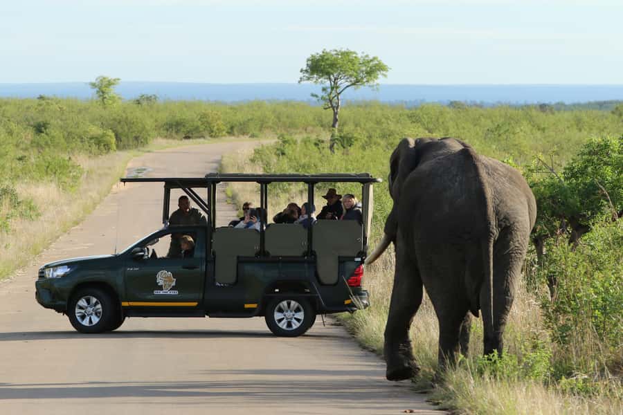 Kruger National Park: Full-Day Private Safari With Pickup - From your lodge to the open safari vehicle