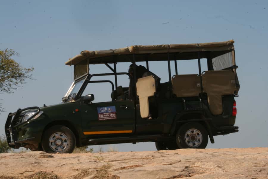 Kruger National Park Morning Safari - Looking for the Big Five