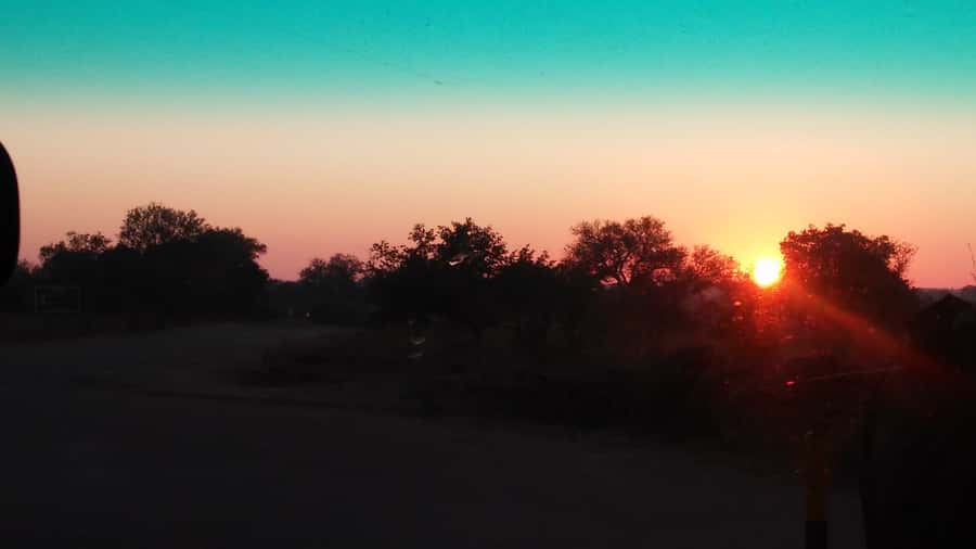 Kruger National Park Morning Safari - What the $93 price really covers
